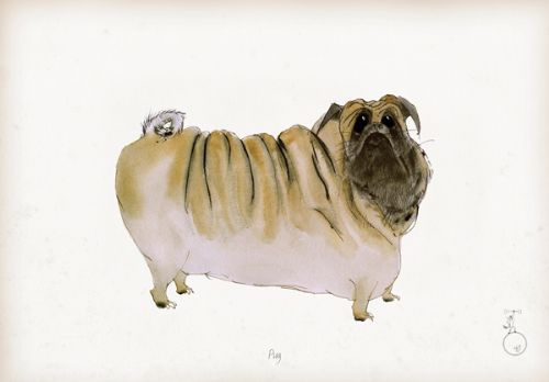 Pug - Fun Dog Art Print by Tony Fernandes
